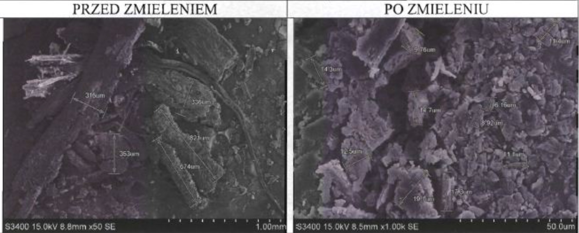Cryotechnology process comparison